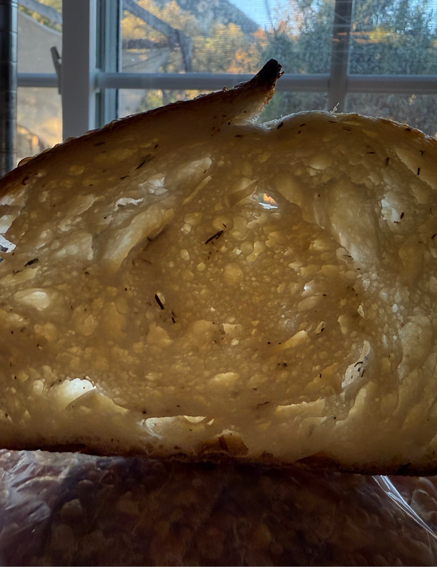 Parmesan French Onion Sourdough Bread