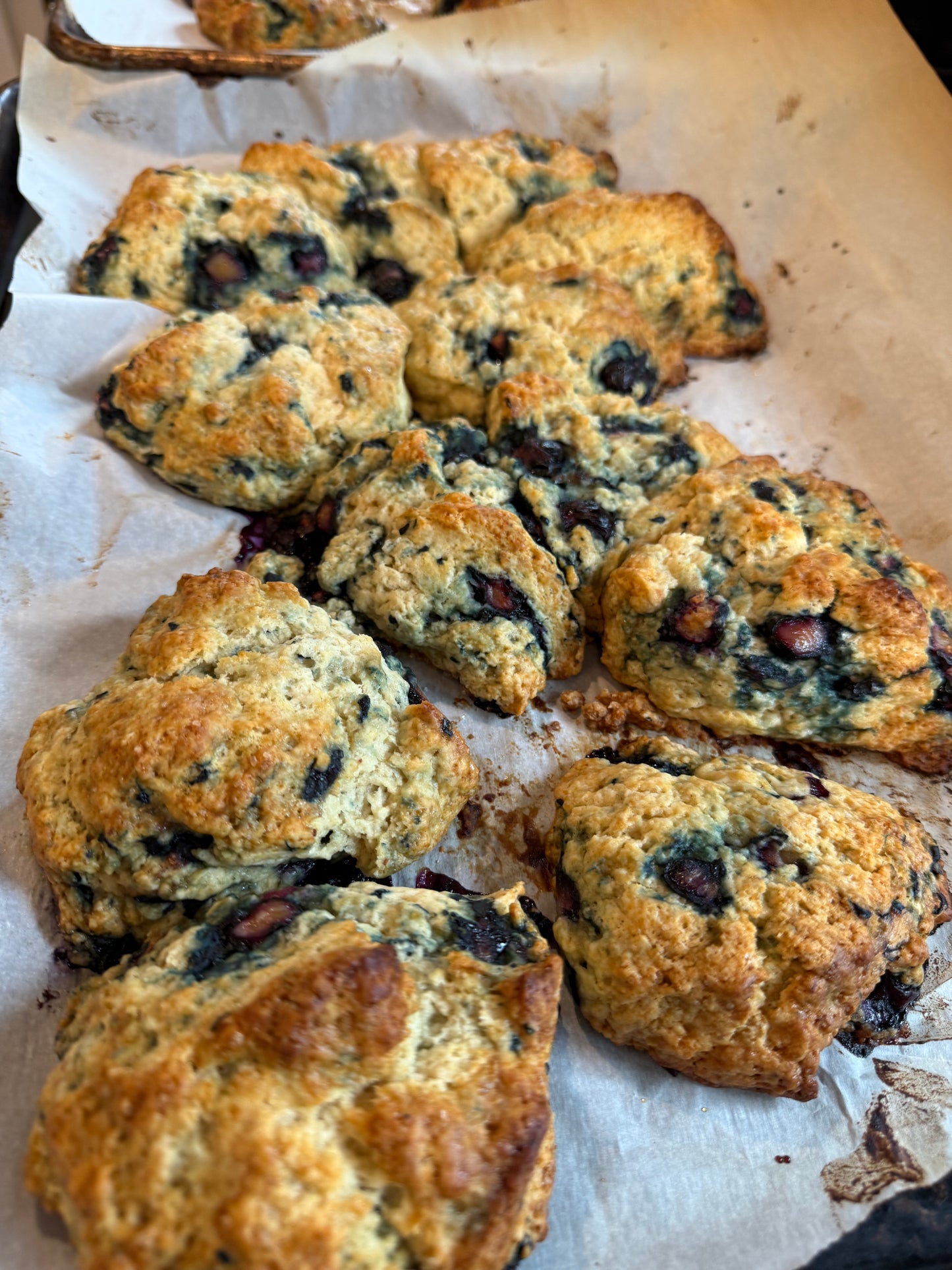 Blueberry Scone (not sourdough)