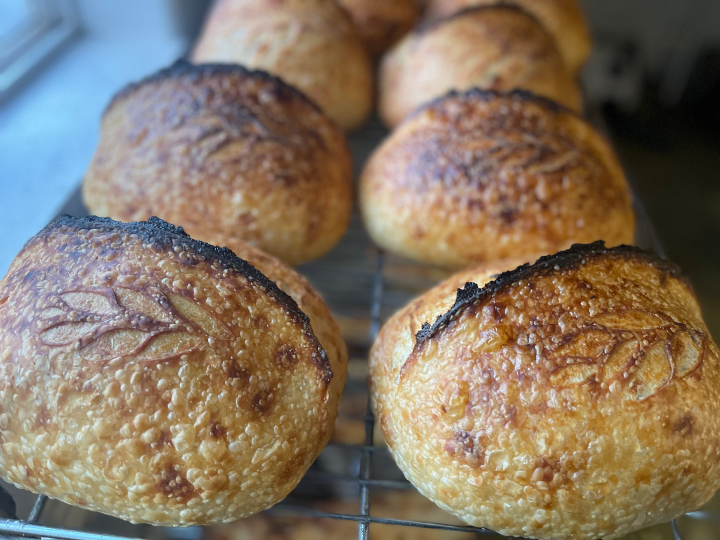 Sourdough Bread