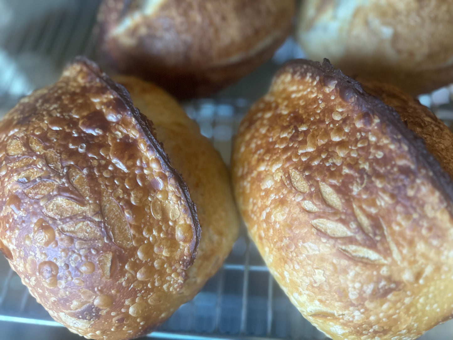 Sourdough Bread