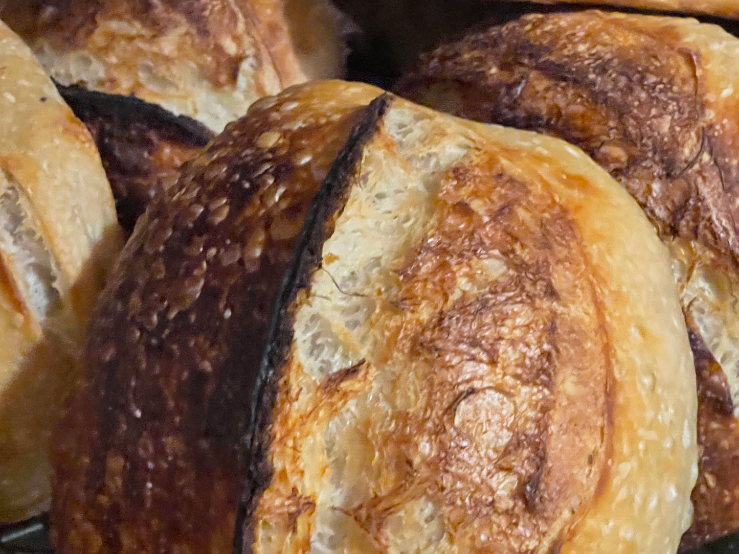 Sourdough Bread