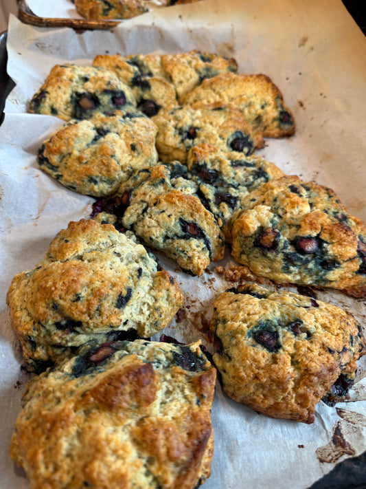 Blueberry Scone (not sourdough)
