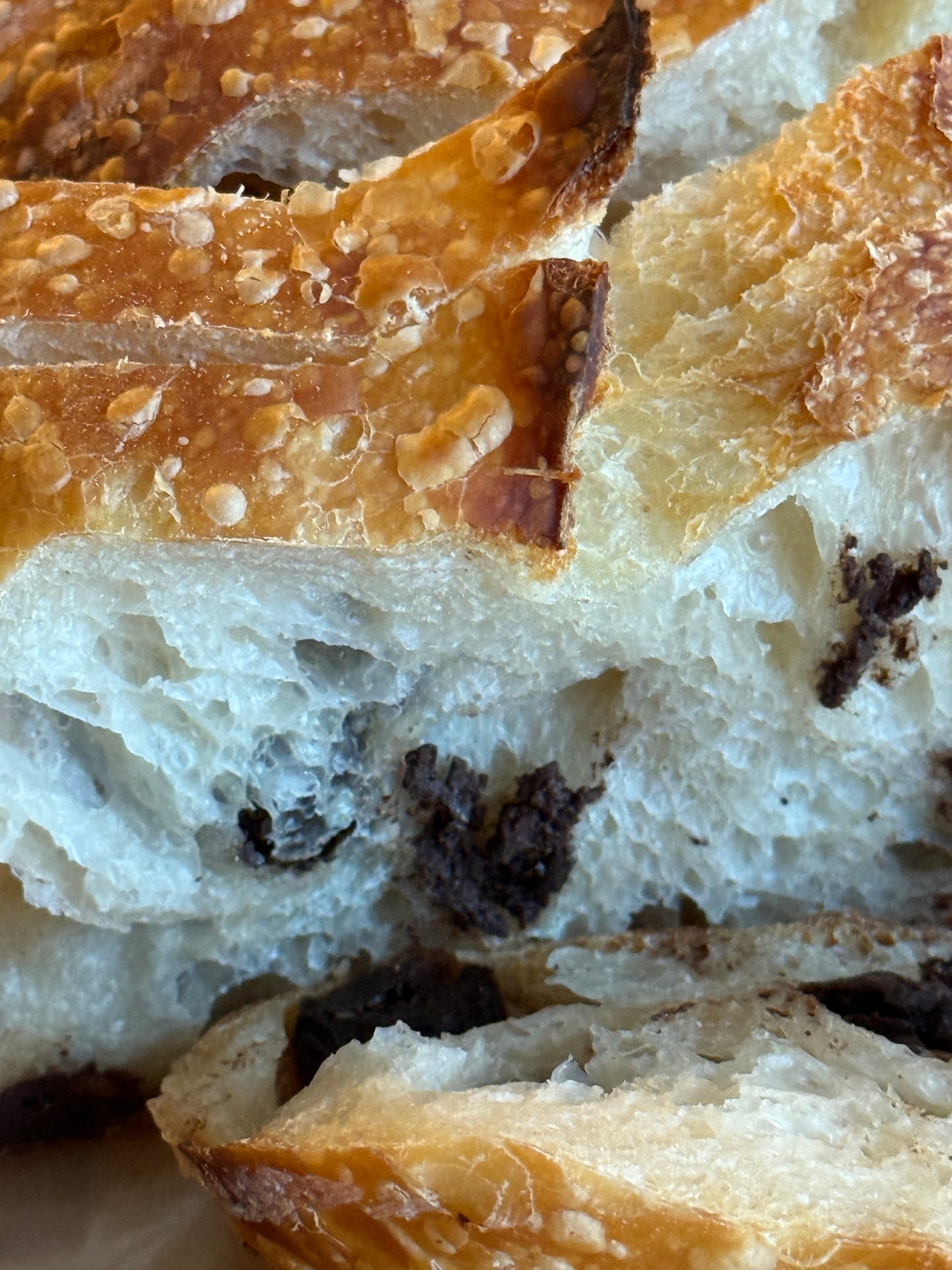 Chocolate Chip Sourdough Bread