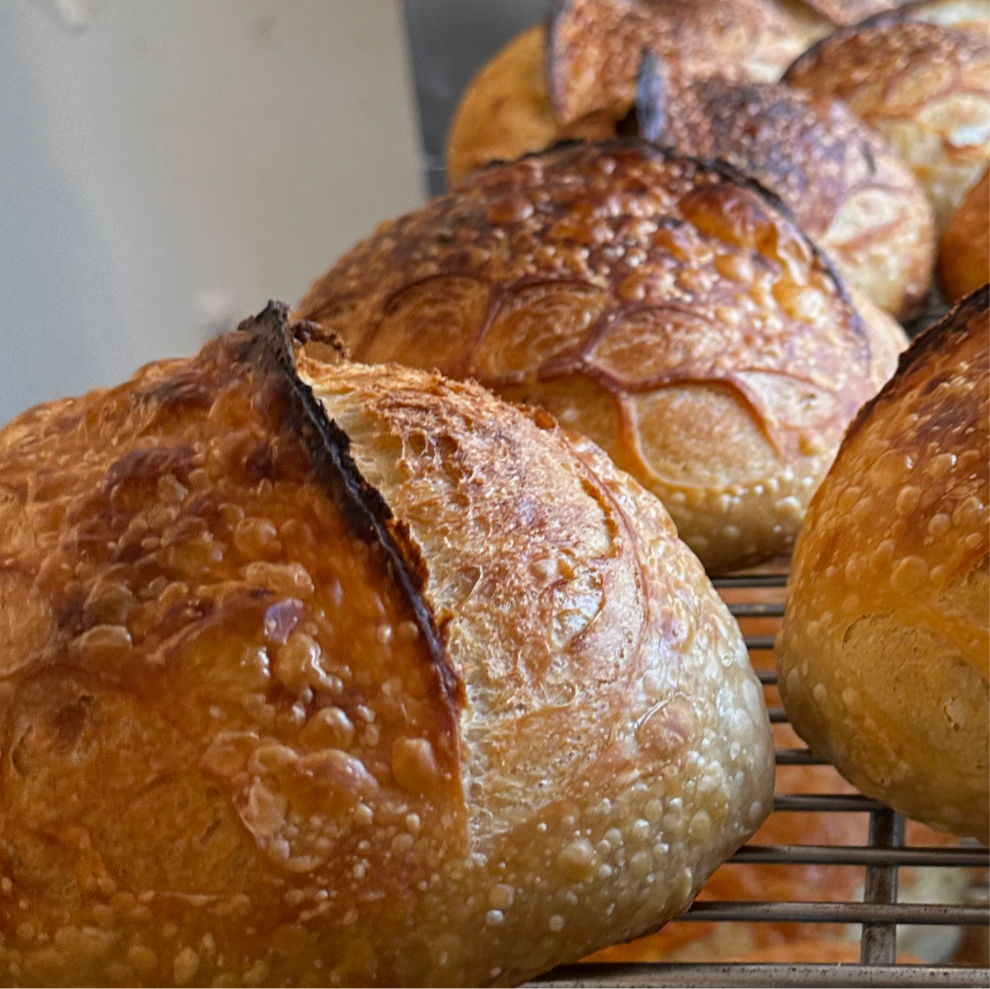 Sourdough Bread
