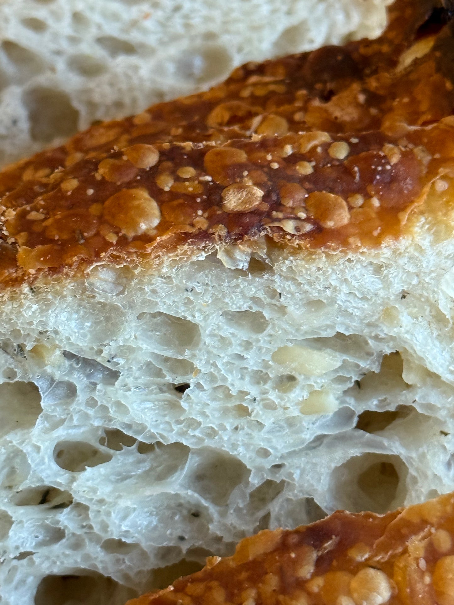 Parmesan French Onion Sourdough Bread